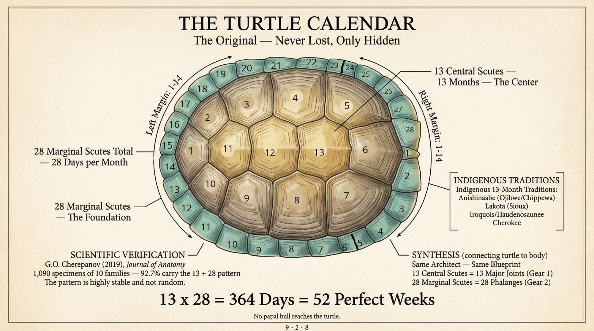 Turtle Calendar